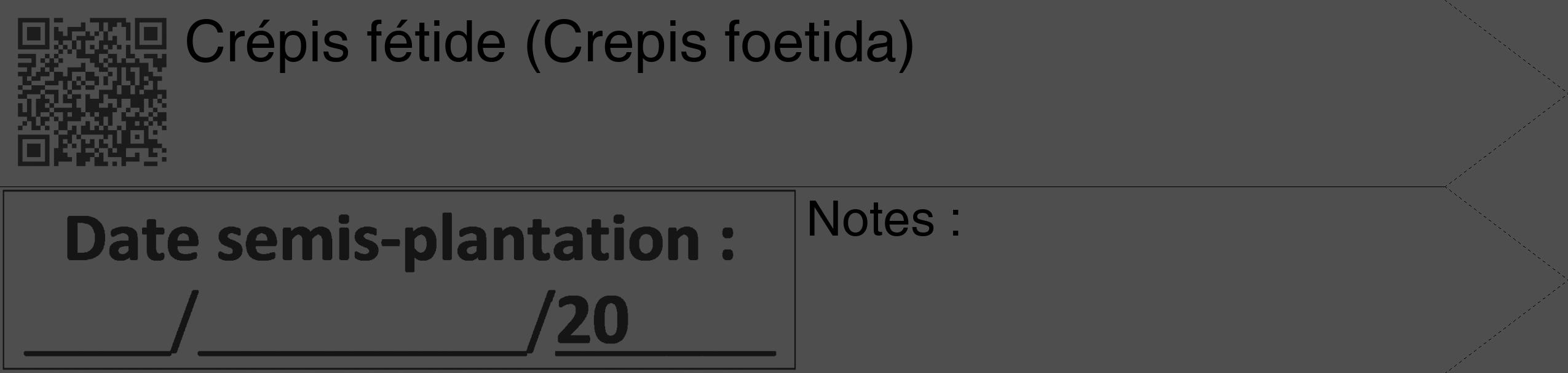 Étiquette de : Crepis foetida - format c - style noire33_simple_simplehel avec qrcode et comestibilité