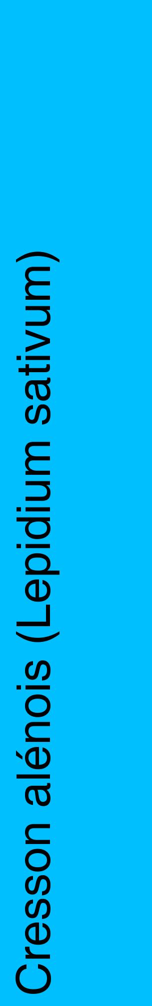 Étiquette de : Lepidium sativum - format c - style noire2_basiquehel avec comestibilité
