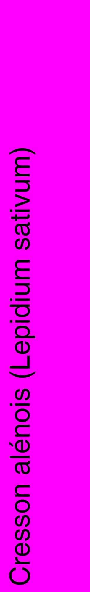 Étiquette de : Lepidium sativum - format c - style noire51_basiquehel avec comestibilité