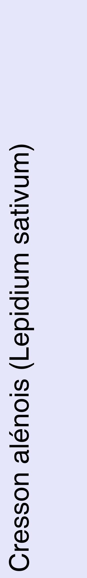 Étiquette de : Lepidium sativum - format c - style noire55_basiquehel avec comestibilité