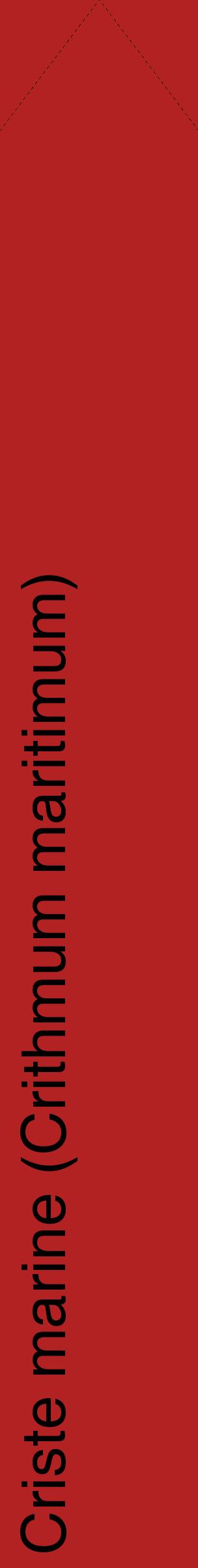 Étiquette de : Crithmum maritimum - format c - style noire28_simplehel avec comestibilité
