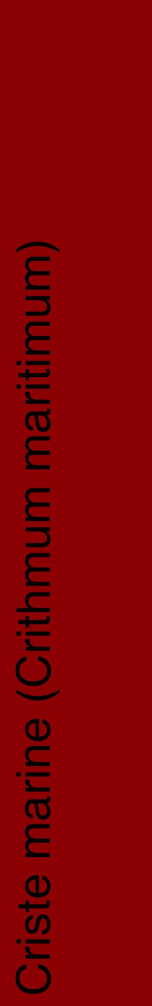 Étiquette de : Crithmum maritimum - format c - style noire34_basiquehel avec comestibilité