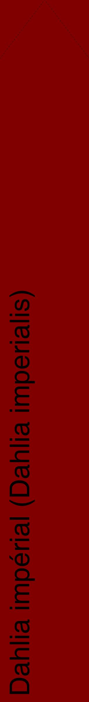 Étiquette de : Dahlia imperialis - format c - style noire29_simplehel avec comestibilité
