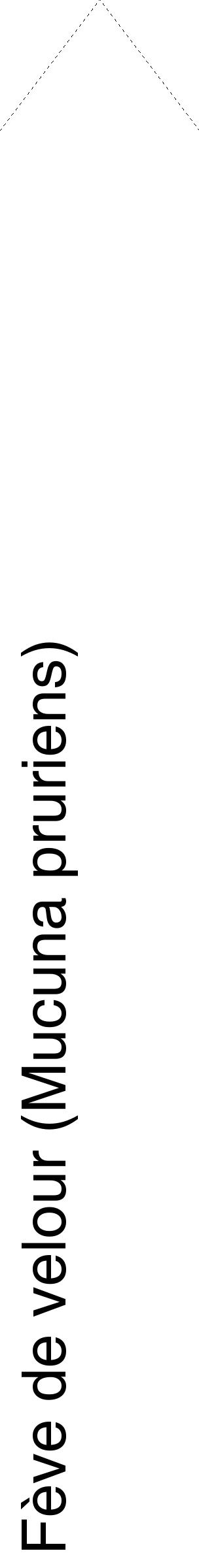 Étiquette de : Mucuna pruriens - format c - style noire60_simplehel avec comestibilité