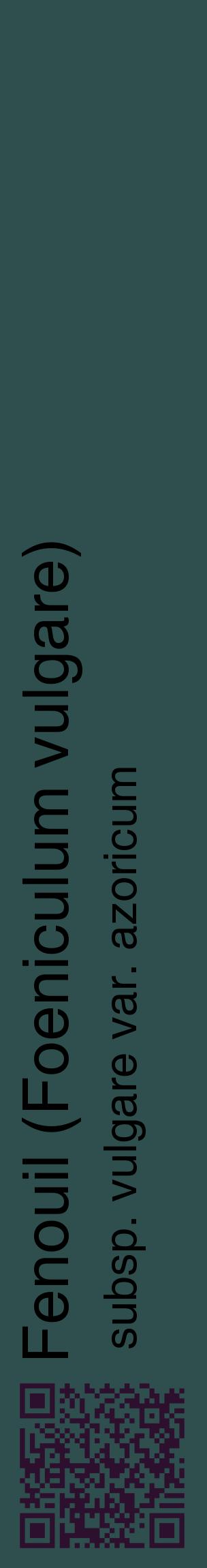 Étiquette de : Foeniculum vulgare subsp. vulgare var. azoricum - format c - style noire58_basiquehel avec qrcode et comestibilité