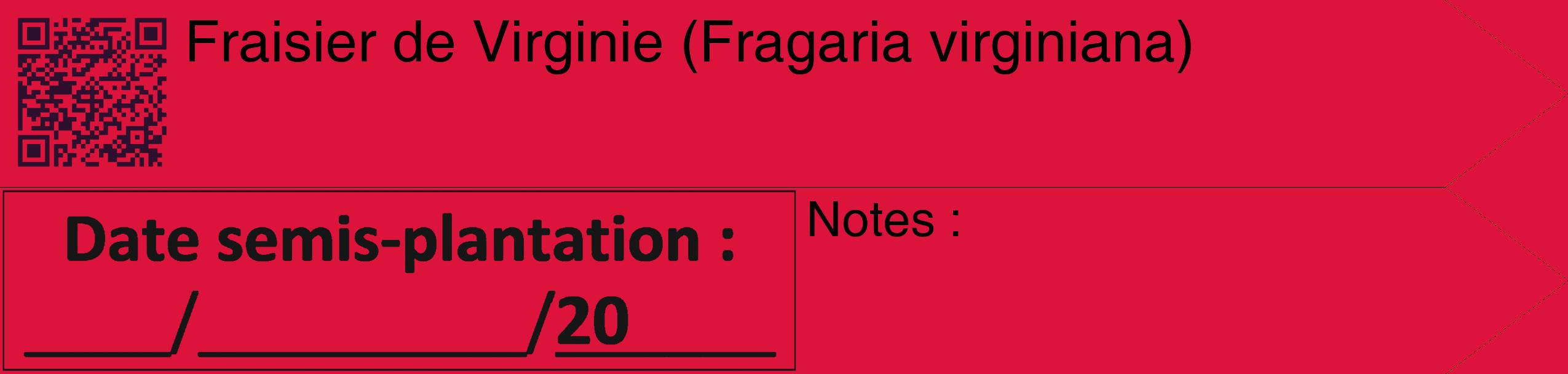 Étiquette de : Fragaria virginiana - format c - style noire36_simple_simplehel avec qrcode et comestibilité