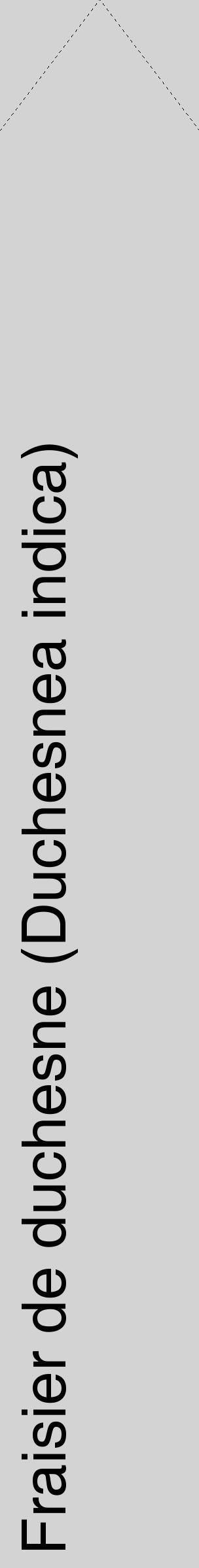 Étiquette de : Duchesnea indica - format c - style noire56_simplehel avec comestibilité