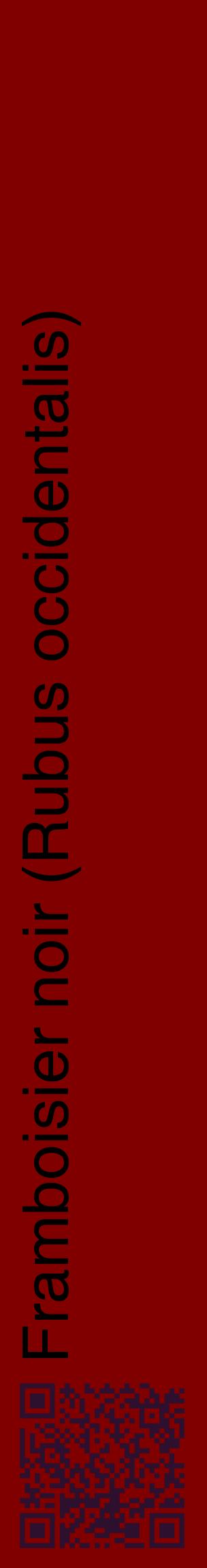 Étiquette de : Rubus occidentalis - format c - style noire29_basiquehel avec qrcode et comestibilité