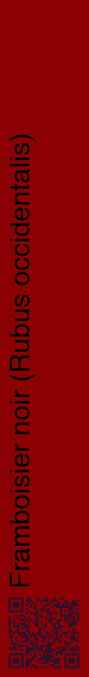 Étiquette de : Rubus occidentalis - format c - style noire34_basiquehel avec qrcode et comestibilité