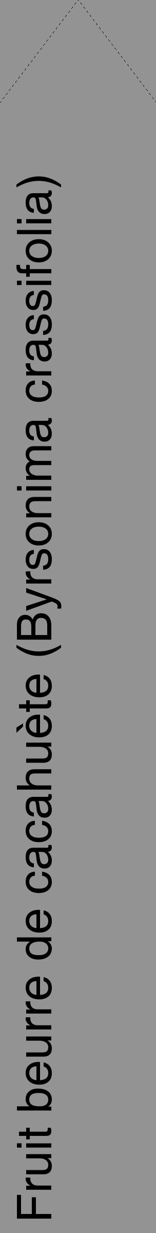 Étiquette de : Byrsonima crassifolia - format c - style noire44_simple_simplehel avec comestibilité - position verticale