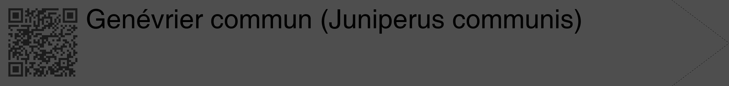 Étiquette de : Juniperus communis - format c - style noire33_simple_simplehel avec qrcode et comestibilité
