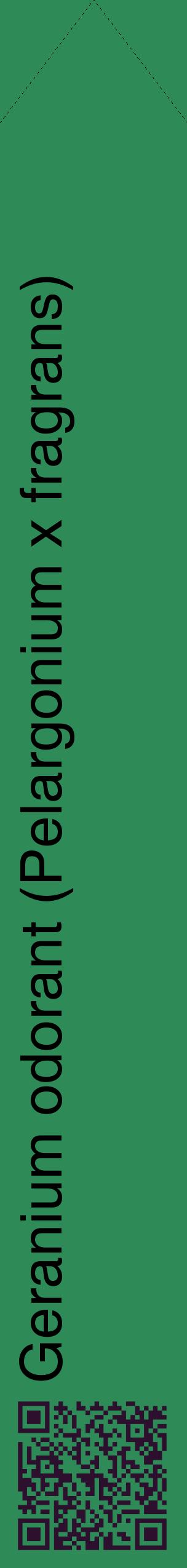 Étiquette de : Pelargonium x fragrans - format c - style noire11_simplehel avec qrcode et comestibilité