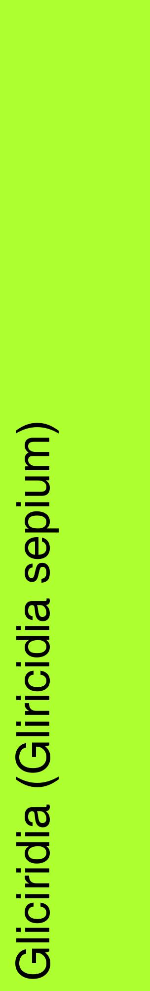 Étiquette de : Gliricidia sepium - format c - style noire17_basiquehel avec comestibilité