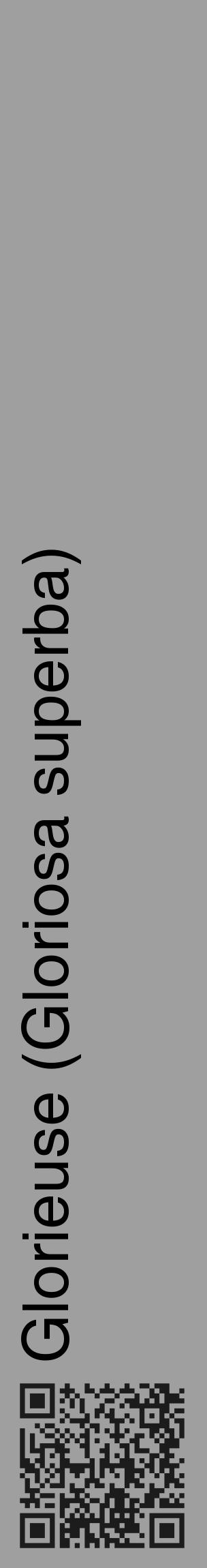 Étiquette de : Gloriosa superba - format c - style noire24_basique_basiquehel avec qrcode et comestibilité - position verticale