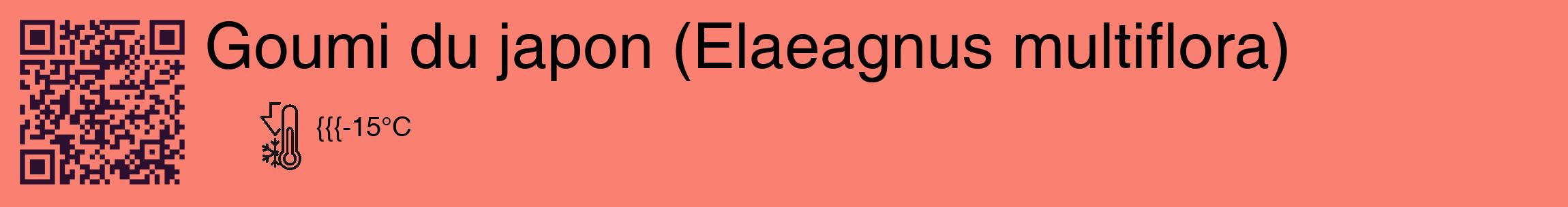Étiquette de : Elaeagnus multiflora - format c - style noire38_basique_basiquehel avec qrcode et comestibilité