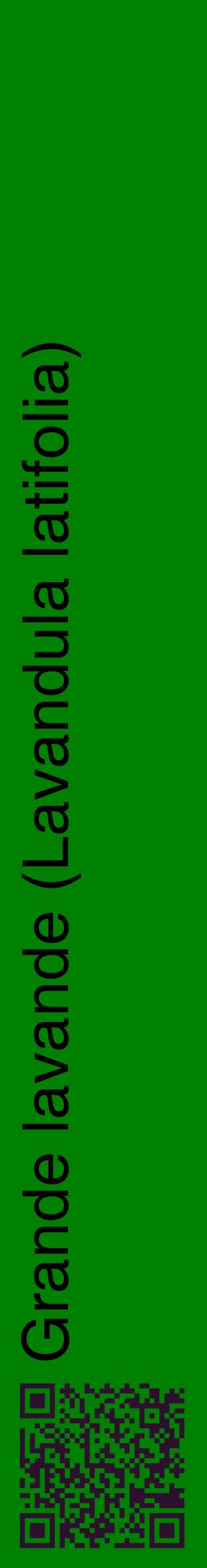 Étiquette de : Lavandula latifolia - format c - style noire9_basiquehel avec qrcode et comestibilité