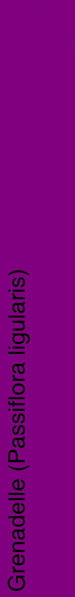 Étiquette de : Passiflora ligularis - format c - style noire46_simplehel avec comestibilité