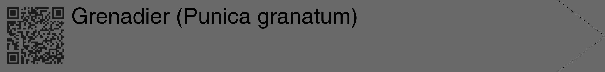 Étiquette de : Punica granatum - format c - style noire11_simple_simplehel avec qrcode et comestibilité