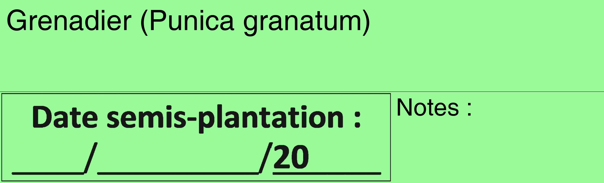 Étiquette de : Punica granatum - format c - style noire14_basique_basiquehel avec comestibilité