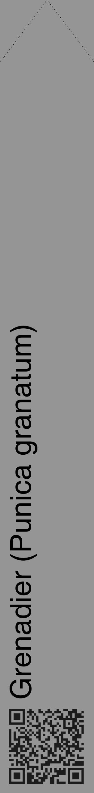 Étiquette de : Punica granatum - format c - style noire16_simple_simplehel avec qrcode et comestibilité - position verticale
