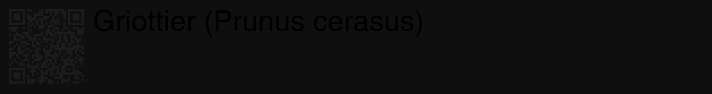 Étiquette de : Prunus cerasus - format c - style noire7_basique_basiquehel avec qrcode et comestibilité