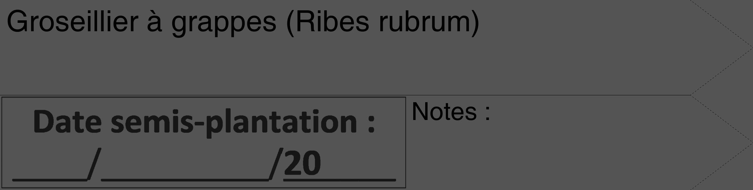 Étiquette de : Ribes rubrum - format c - style noire30_simple_simplehel avec comestibilité
