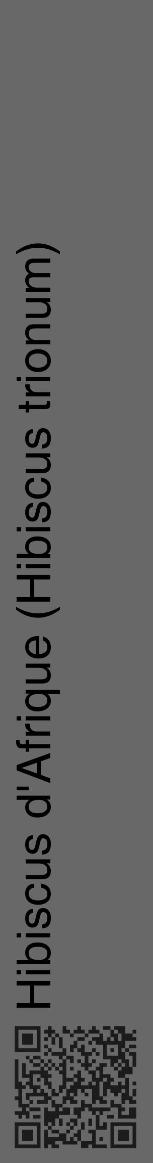 Étiquette de : Hibiscus trionum - format c - style noire43_basique_basiquehel avec qrcode et comestibilité - position verticale