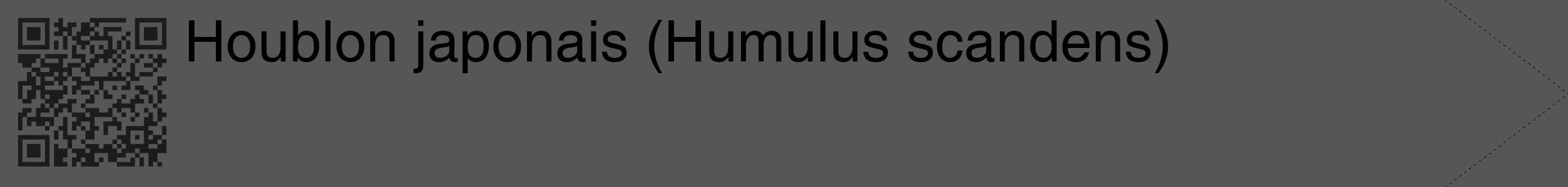 Étiquette de : Humulus scandens - format c - style noire45_simple_simplehel avec qrcode et comestibilité