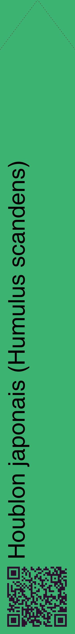 Étiquette de : Humulus scandens - format c - style noire12_simplehel avec qrcode et comestibilité