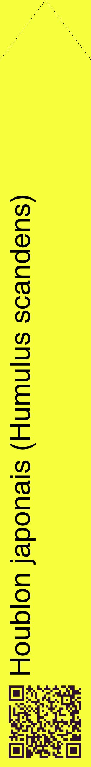 Étiquette de : Humulus scandens - format c - style noire18_simplehel avec qrcode et comestibilité