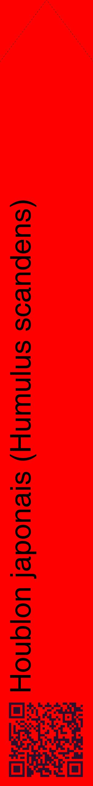 Étiquette de : Humulus scandens - format c - style noire27_simplehel avec qrcode et comestibilité