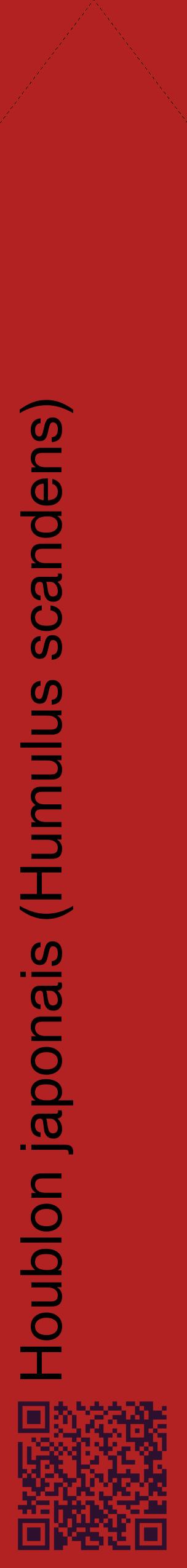 Étiquette de : Humulus scandens - format c - style noire28_simplehel avec qrcode et comestibilité
