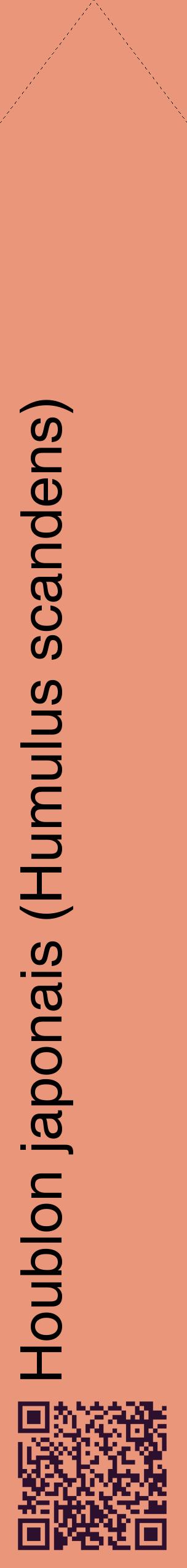 Étiquette de : Humulus scandens - format c - style noire37_simplehel avec qrcode et comestibilité
