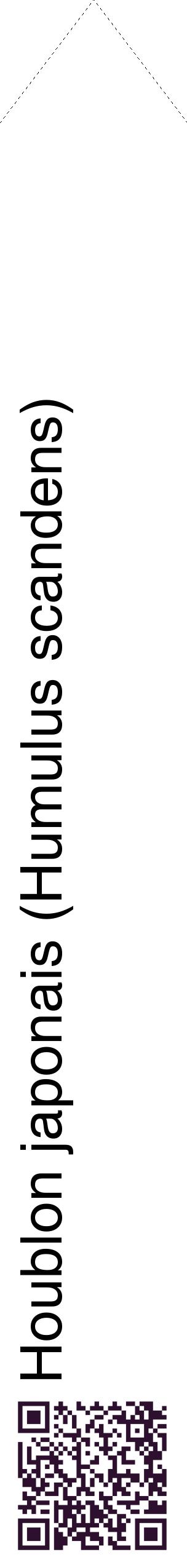 Étiquette de : Humulus scandens - format c - style noire60_simplehel avec qrcode et comestibilité