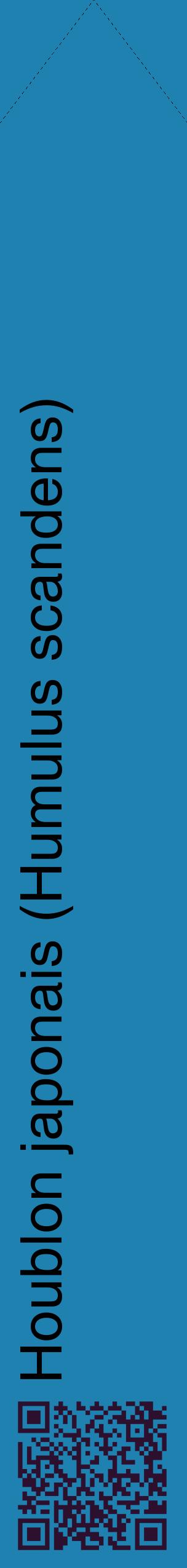 Étiquette de : Humulus scandens - format c - style noire6_simplehel avec qrcode et comestibilité