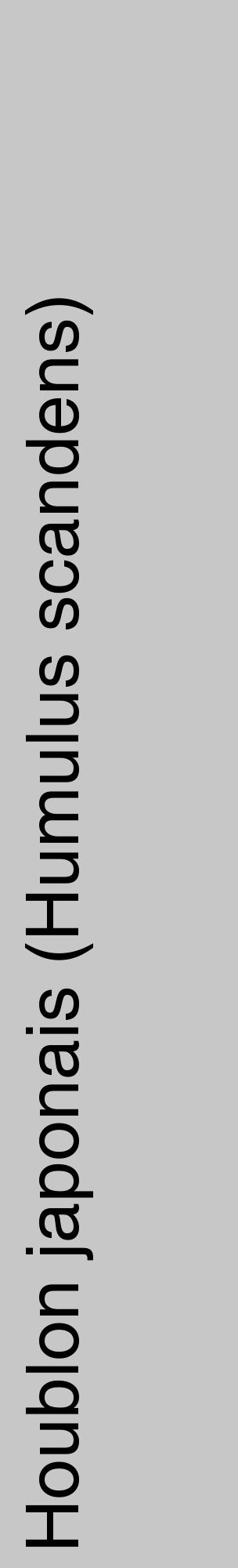 Étiquette de : Humulus scandens - format c - style noire15_basique_basiquehel avec comestibilité - position verticale