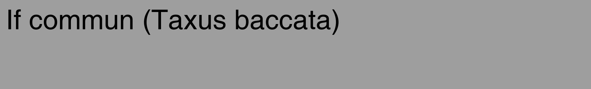 Étiquette de : Taxus baccata - format c - style noire42_basique_basiquehel avec comestibilité
