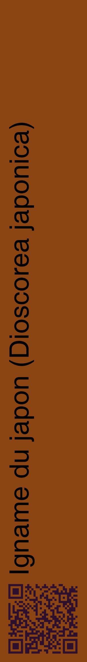 Étiquette de : Dioscorea japonica - format c - style noire30_basiquehel avec qrcode et comestibilité