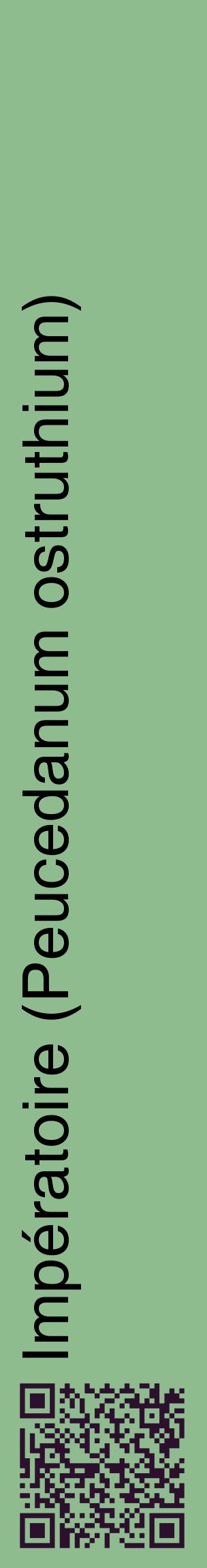 Étiquette de : Peucedanum ostruthium - format c - style noire13_basiquehel avec qrcode et comestibilité