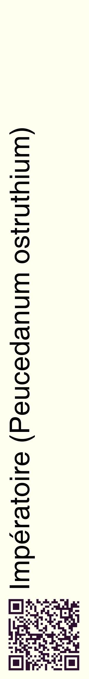 Étiquette de : Peucedanum ostruthium - format c - style noire19_basiquehel avec qrcode et comestibilité