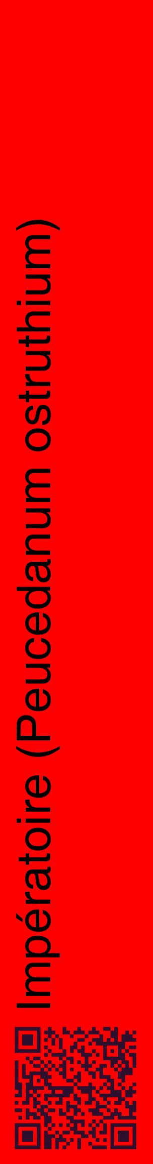 Étiquette de : Peucedanum ostruthium - format c - style noire27_basiquehel avec qrcode et comestibilité
