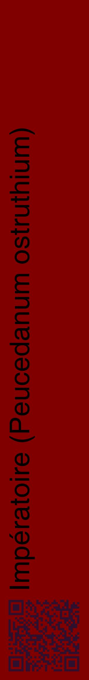 Étiquette de : Peucedanum ostruthium - format c - style noire29_basiquehel avec qrcode et comestibilité