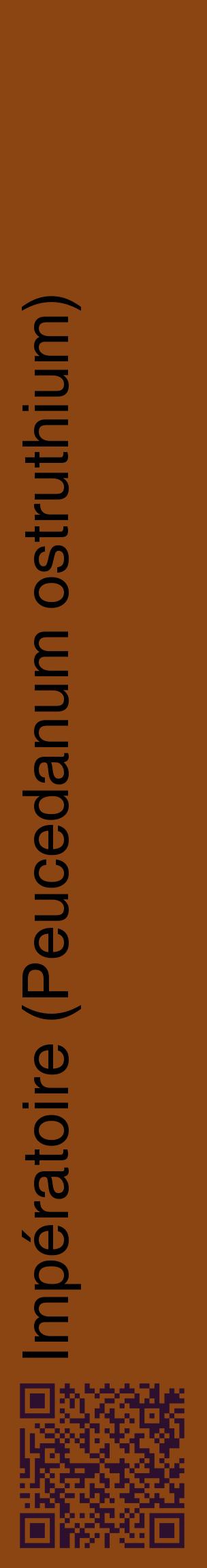 Étiquette de : Peucedanum ostruthium - format c - style noire30_basiquehel avec qrcode et comestibilité
