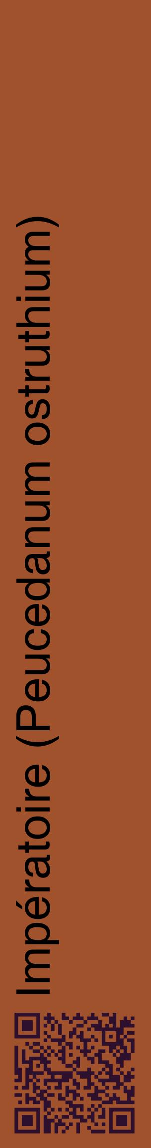 Étiquette de : Peucedanum ostruthium - format c - style noire32_basiquehel avec qrcode et comestibilité