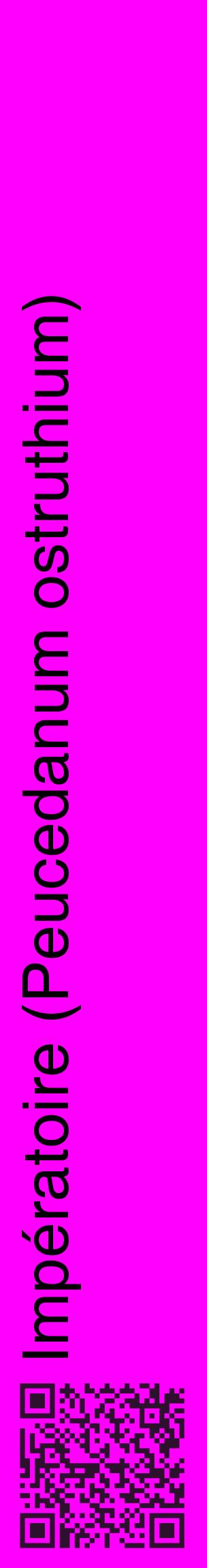 Étiquette de : Peucedanum ostruthium - format c - style noire51_basiquehel avec qrcode et comestibilité