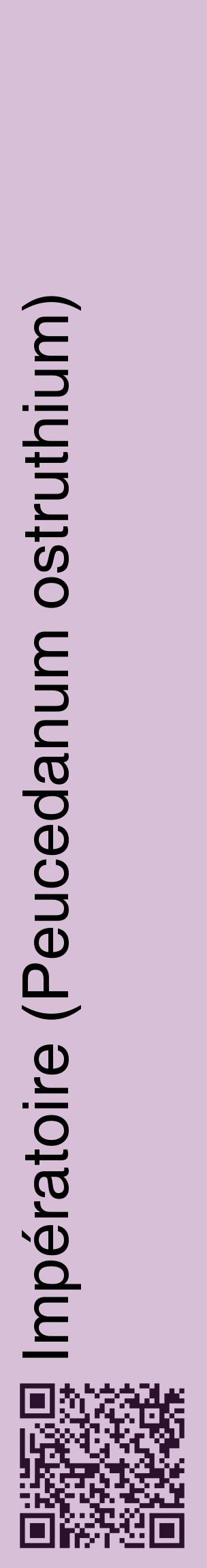 Étiquette de : Peucedanum ostruthium - format c - style noire54_basiquehel avec qrcode et comestibilité