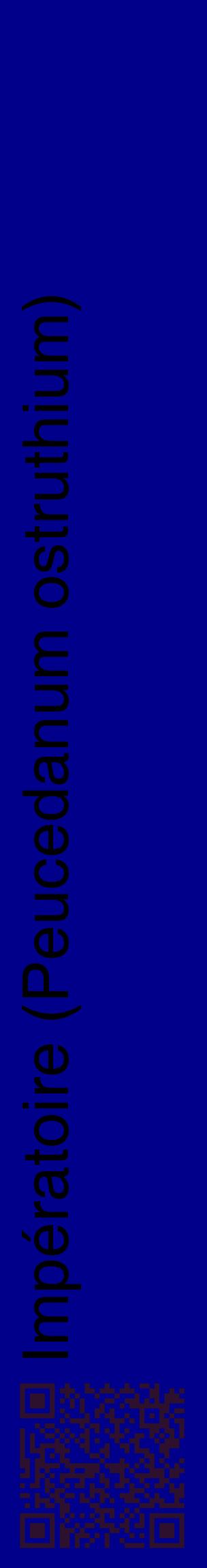 Étiquette de : Peucedanum ostruthium - format c - style noire7_basiquehel avec qrcode et comestibilité