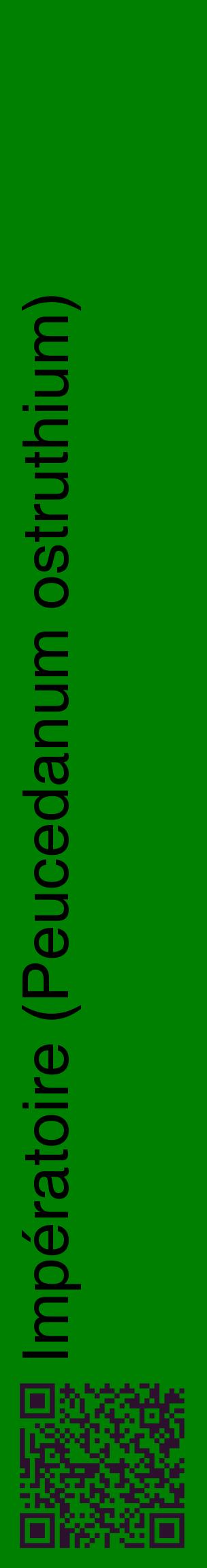 Étiquette de : Peucedanum ostruthium - format c - style noire9_basiquehel avec qrcode et comestibilité