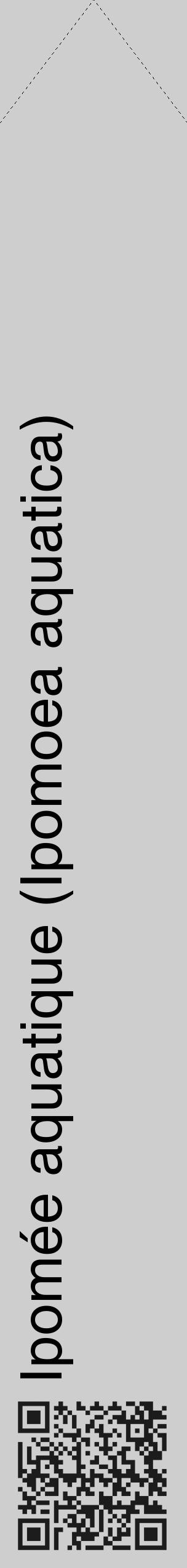 Étiquette de : Ipomoea aquatica - format c - style noire17_simple_simplehel avec qrcode et comestibilité - position verticale