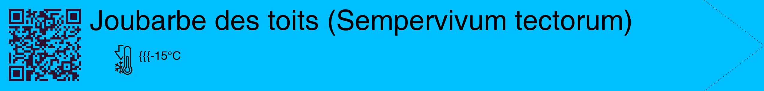 Étiquette de : Sempervivum tectorum - format c - style noire2_simple_simplehel avec qrcode et comestibilité